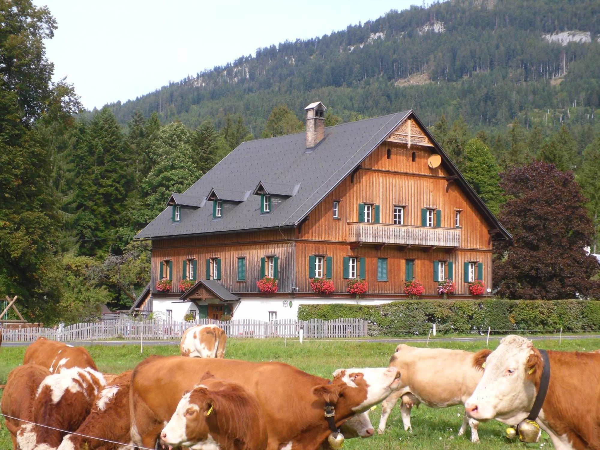 Ferienwohnung Die Traunmühle Bad Aussee Exterior foto